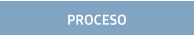 PROCESO